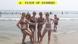 723DIG1.webp