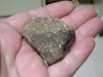 Gold flake rock 006.webp
