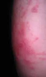 IMAG0032.webp
