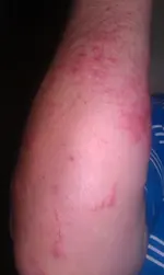 IMAG0042.webp