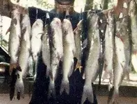 Scan_Pic0004.webp
