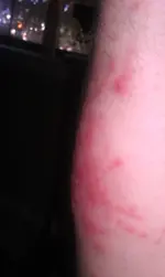 IMAG0040.webp