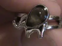 elephant 007.webp
