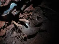 BOTTLE DIG 015.webp