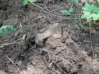 July 2 Finds 003.webp