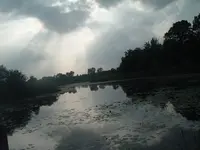new turtle home.webp