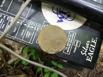 MAY 22nd THIRD GW BUTTON 005 [1600x1200].webp