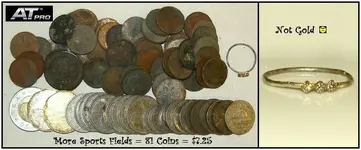 not gold.webp