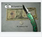 Dual Field 02.webp