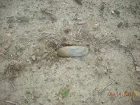 DSCN1757.webp