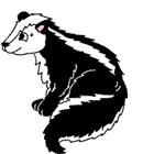 Skunk3.gif