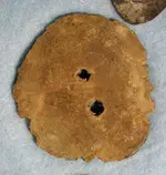 WhirligigToyLeadMusketball.webp