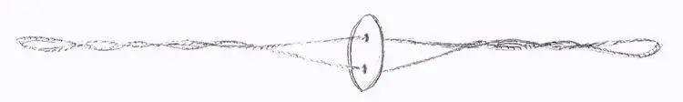 Buzzer Whizzer resized.webp