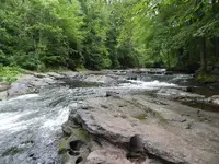 004.webp