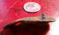 Lion Head - back pin(s) view - A-1.webp