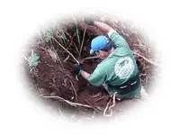 WAIALUA CAMP (8).webp