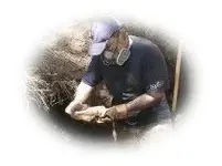 20100626_01.webp