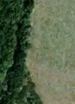 River and Field.webp