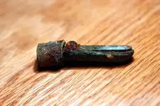 NH FINDS 06-22 005.webp