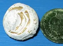 RoundBall3.webp