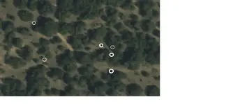 map5dowsed.webp