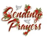 imagesCAKQATXK.webp