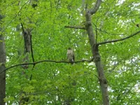 may1411 007.webp