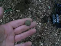 JULY 23RD HUNT BIG SILVER CW BUTTON 002 [640x480].webp