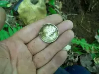 JULY 23RD HUNT BIG SILVER CW BUTTON 007 [640x480].webp