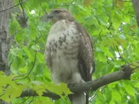 may1411 012.webp