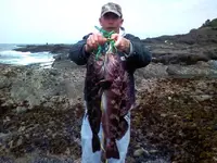 0610111300.webp