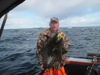 halibut 004.webp