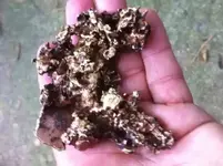 nuggetbottom.webp