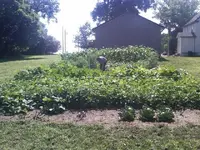 IMG00842-20110709-1023.webp