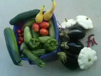 IMG00878-20110712-1915.webp