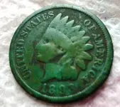 6-12 Greenie.webp