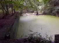 100_2816 pool.webp