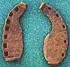 oxen_shoes1[1].webp