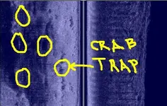 sidescan.webp