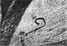 AztecGlyph2.webp