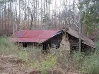 logcabin1.webp