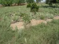 PICT0024.webp