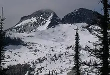 Selkirks62.webp