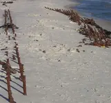 Fort Morgan Wreck.webp