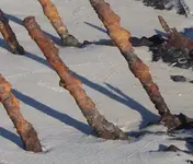 Fort Morgan Wreck 3.webp