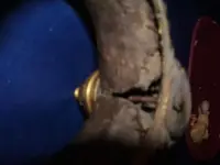 DSCF1524.webp