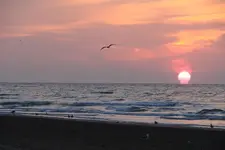 9_5_06_c.webp