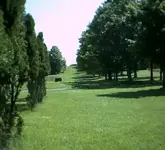 old wagon road.webp