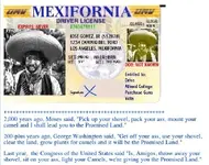 license.webp