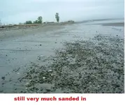 DSCF0395.webp